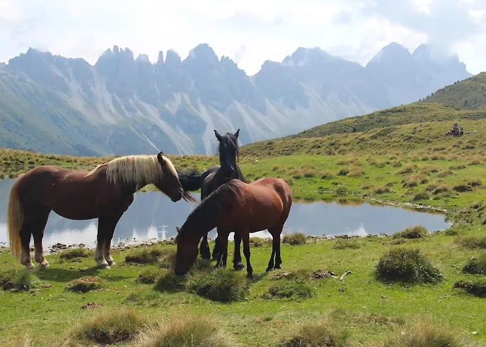 Cosy Flat In Axams, 85 Square Metres *