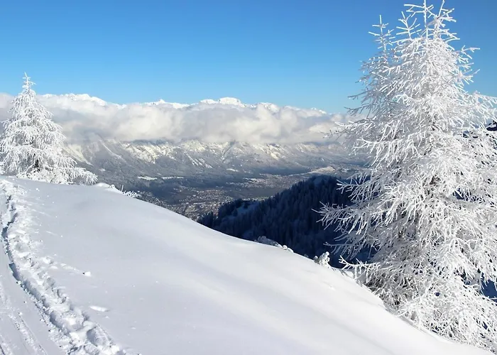 Cosy Flat In Axams, 85 Square Metres Διαμέρισμα